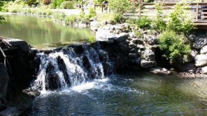 https://torontobotanicalgarden.ca/get-gardening/public-gardens/edwards-gardens/